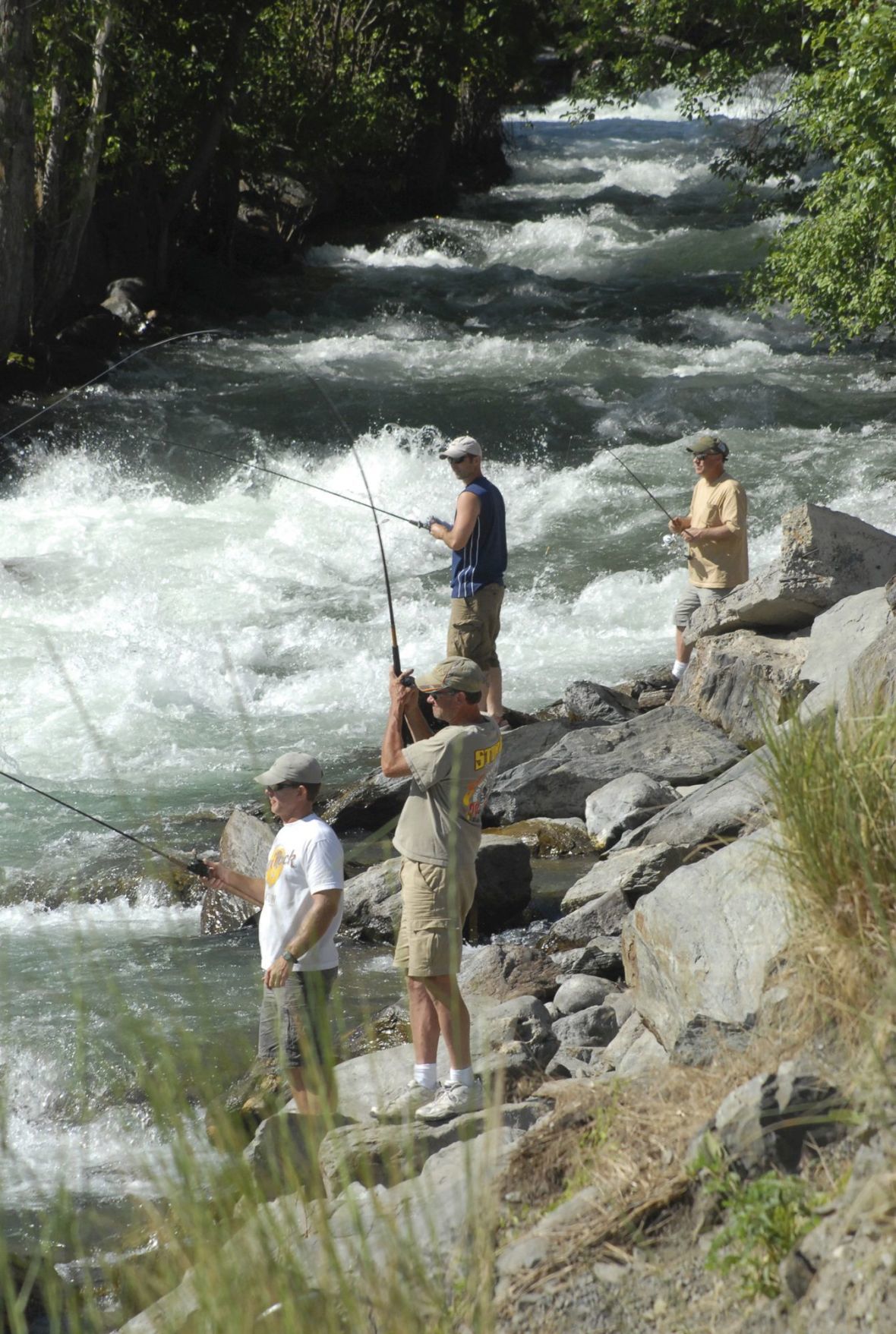 Salmon fishing